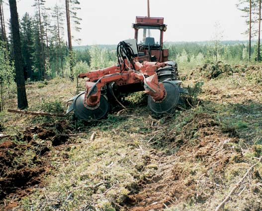 ÄESTYS Männyn viljelyalat Tuoreen kankaan kuusen viljelyalat Luontaisen