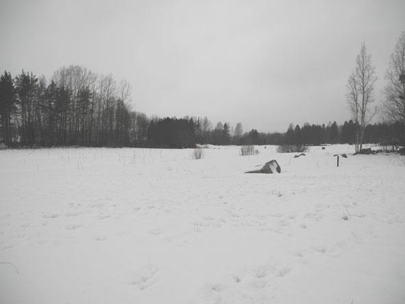 Kuva 5-4. Tontinkäyttöluonnos. Lähde: GSP Group Oy. Kuva 5-5. Suunnittelualue Jakarintieltä kuvattuna.