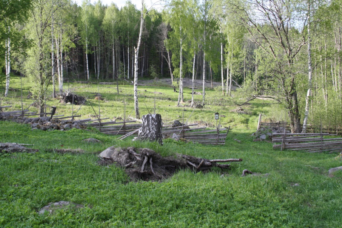 6.3 Perinnemaisemat Vuonna 2006 valmistui Etelä-Savon alueellinen perinnebiotooppien hoito-ohjelma, jossa on määritelty mm. kohteiden hoidon kiireellisyys ja hoidon kustannukset.