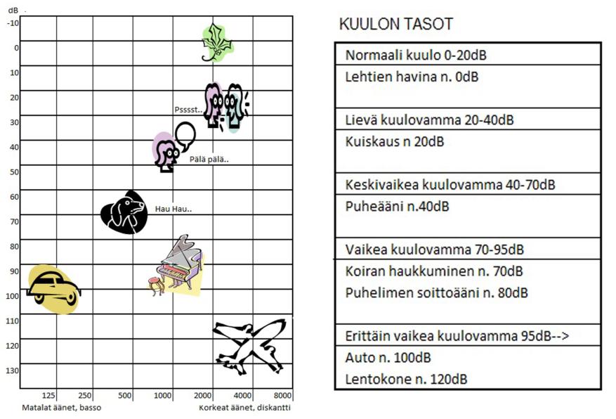 Audiogrammi & Kuulon tasot 42 Audiogrammi (Kuva 1) eli kuulokäyrä kuvaa korvien kuuloa graafisesti ja osoittaa kuulonaleneman asteet. Kun kuuloa testataan, annetaan ääniä yksi taajuus kerrallaan.