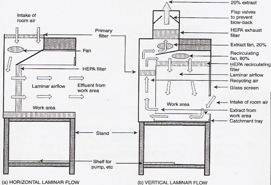 KUVA 5. Horisontaali- ja vertikaalilaminaarivirtauskaappien rakennekuvat (Forbes 2010) 3.2 Aseptinen työskentely Aseptisella työskentelyllä vältetään mikro-organismien aiheuttamia kontaminaatioita.