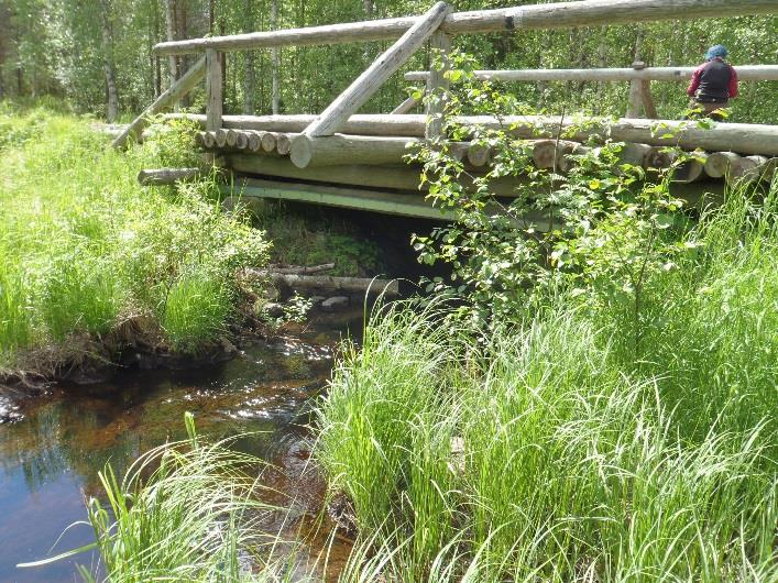 Hanke herätti laajaa mielenkiintoa varsinkin metsätalouden toimijoissa, vaikka hankkeen tiedottamisessa Metsähallituksen ulkopuolelle ei täysin onnistuttukaan.