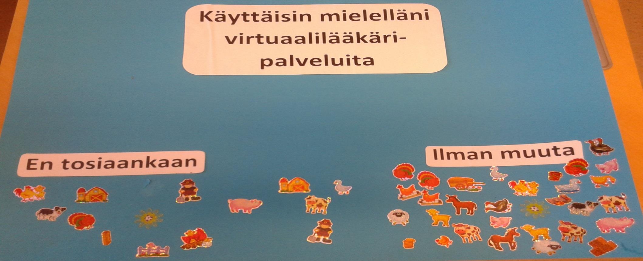 Käyttäisin mielelläni