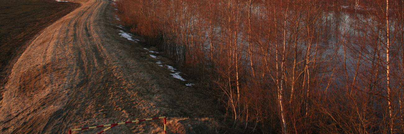 Kuva 16. Tulvapengertä Haapojan pengerrysalueella keväällä 2010. (Katja Haukilehto) Lapuanjoen järjestelyn V vaihe sisälsi Kauhavanjoen yläosan perkauksen ja pohjapatojen rakentamisen.