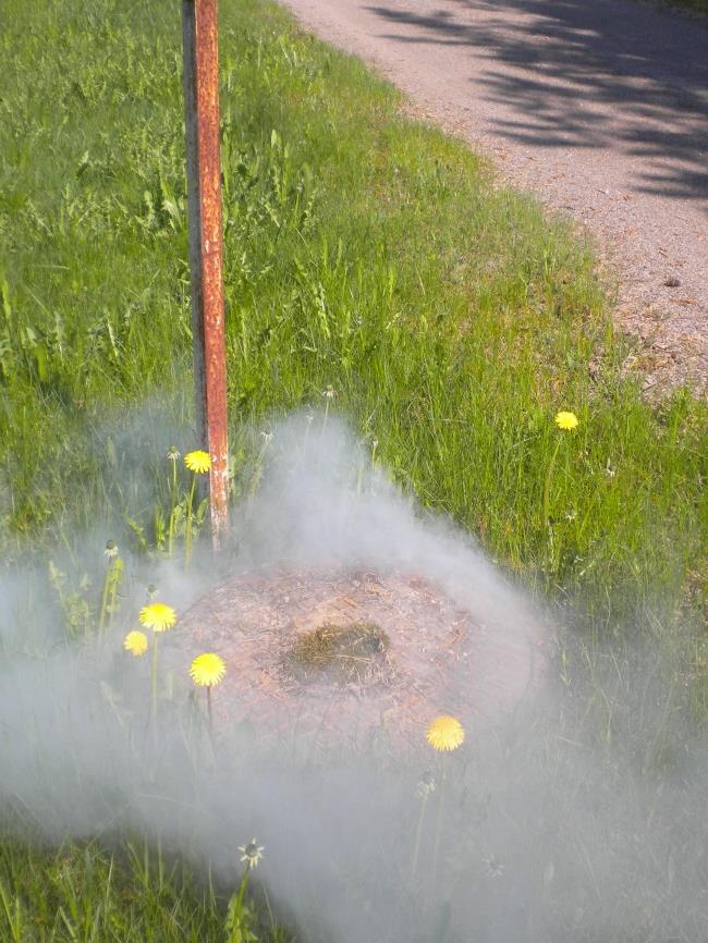 11 Kuva 2. Savu purkautuminen kiinteistön tuuletusputkesta ja tarkastuskaivosta. Savu tuotetaan tarkastuskaivossa joko savukoneen tai pienen savukranaatin avulla (Seppinen 2010).