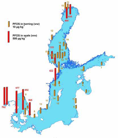 PFOS silakan ja hylkeen maksassa (HELCOM 2010, BSEP 120B) 150 (lmaksa) Vanhankaupungin lahti: Tuleva normi (2018: 9,1 µg/kg) ylittyy WFD EQS 9,1