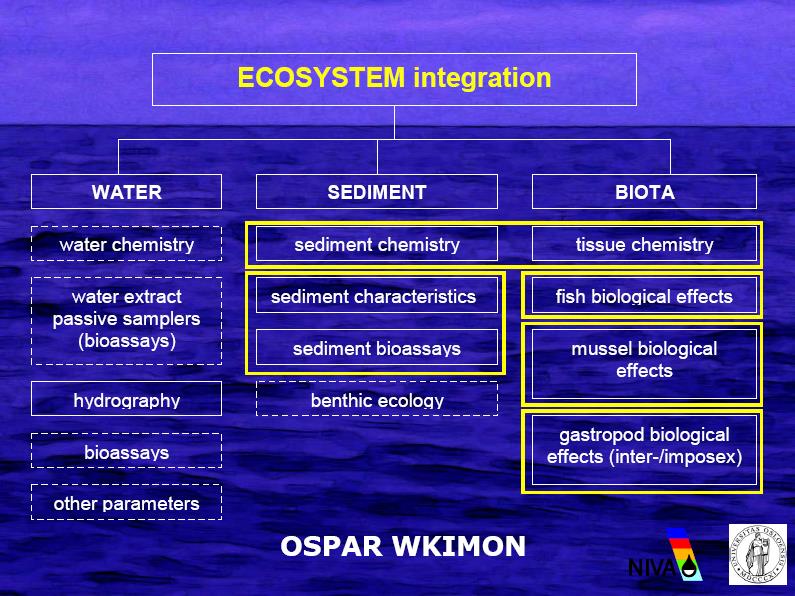 Olemme vielä kaukana systeemin kokonaisvaltaisesta tarkastelusta.