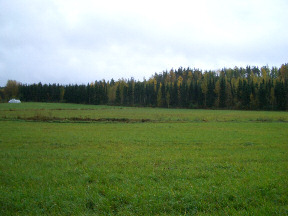 4 Inventointi Muinais-Päijänne on ulottunut alueella n. 100-99 m korkeustasolle. Pyyntikulttuurin asuinpaikkoja voi todennäköisimmin löytää alueilta, jotka ovat em.