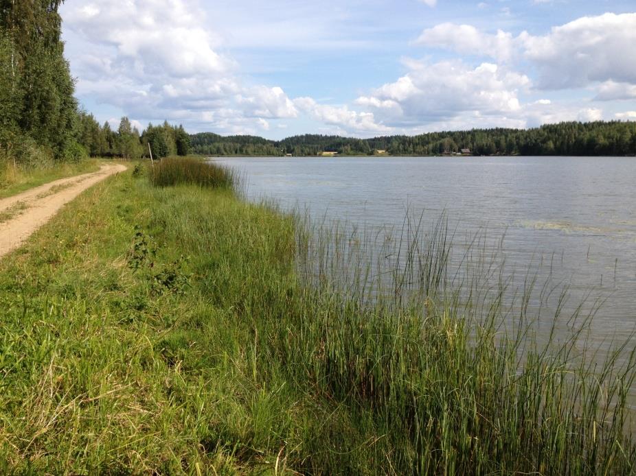 14 Matjärven näkösyvyys on levä- ja muusta sameudesta johtuen huono, alle 1 m (kuva 18). Vesi on sameaa ja erittäin humuspitoista.