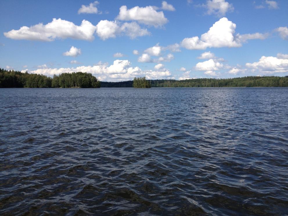 4 vesissä ph on yleisesti emäksisellä puolella eli yli seitsemän ja kasvillisuuden seassa tai leväkukinnan aikaan ph-arvo voi olla jopa 9. Suomen pintavedet ovat yleisesti ruskeita eli humuspitoisia.