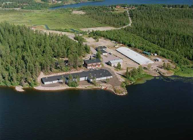 Viljelyssä olevat lohikannat Suomessa Salmon populations in hatchery broodstocks in Finland Tornionjoki luonnonkanta, laaja Simojoki