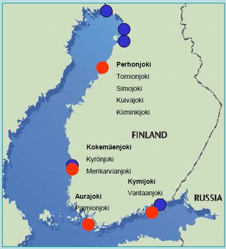 Lohen vaelluspoikasistutukset Salmon smolt releases in Finland Velvoitteet Obligations Kemijoki 615 000 Iijoki 342 000 Oulujoki 200 000