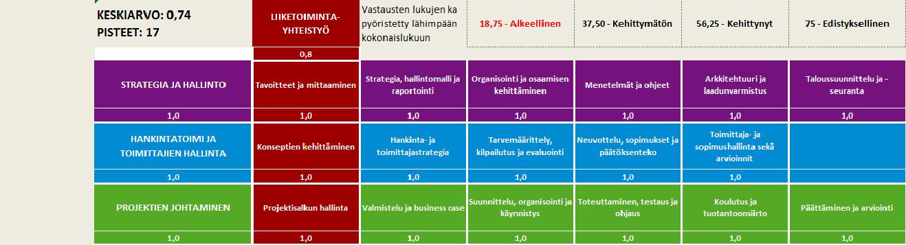 - Tietohallintomallin mukainen kypsyysanalyysi johtoryhmälle 5/13, jossa keskityttiin liiketoiminnan johtamisen tasoon tietohallinnon