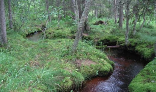 Ylävirrasta tuleva suspentoitunut kiintoaines Suspentoitunut kiintoaines Suspensiossa kulkeutuva kuormitus Paikallinen lähde Paikallinen sedimentti materiaali Siirtyvä sedimentti materiaali