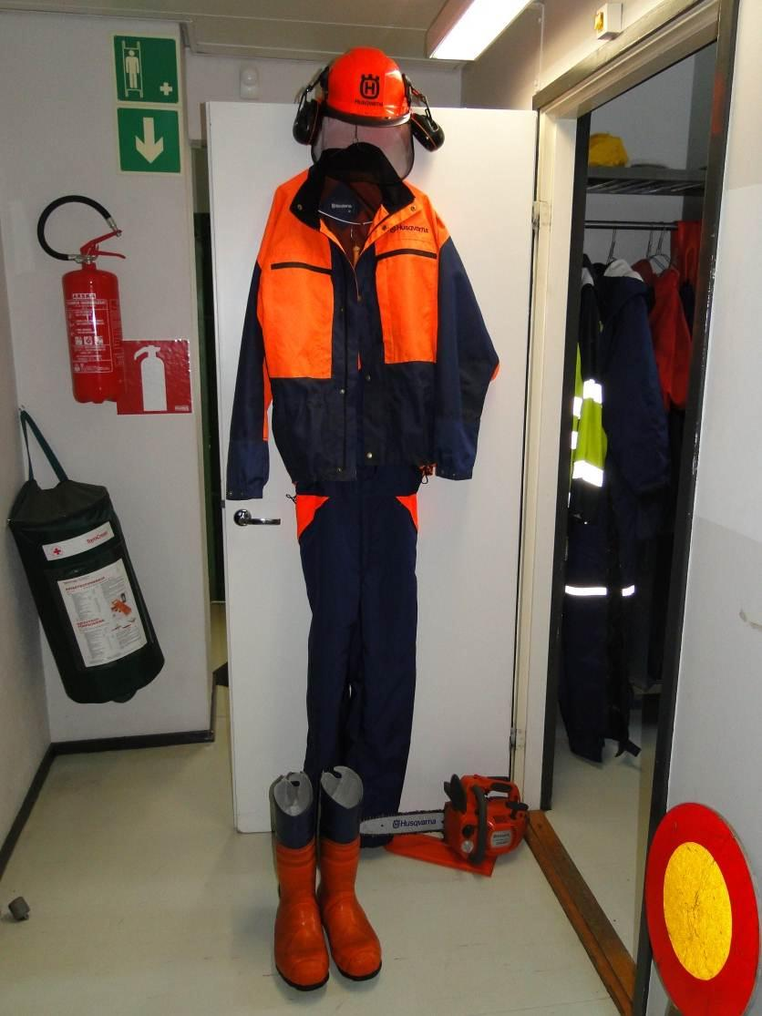Elinikäisen oppimisen taidot Terveys,