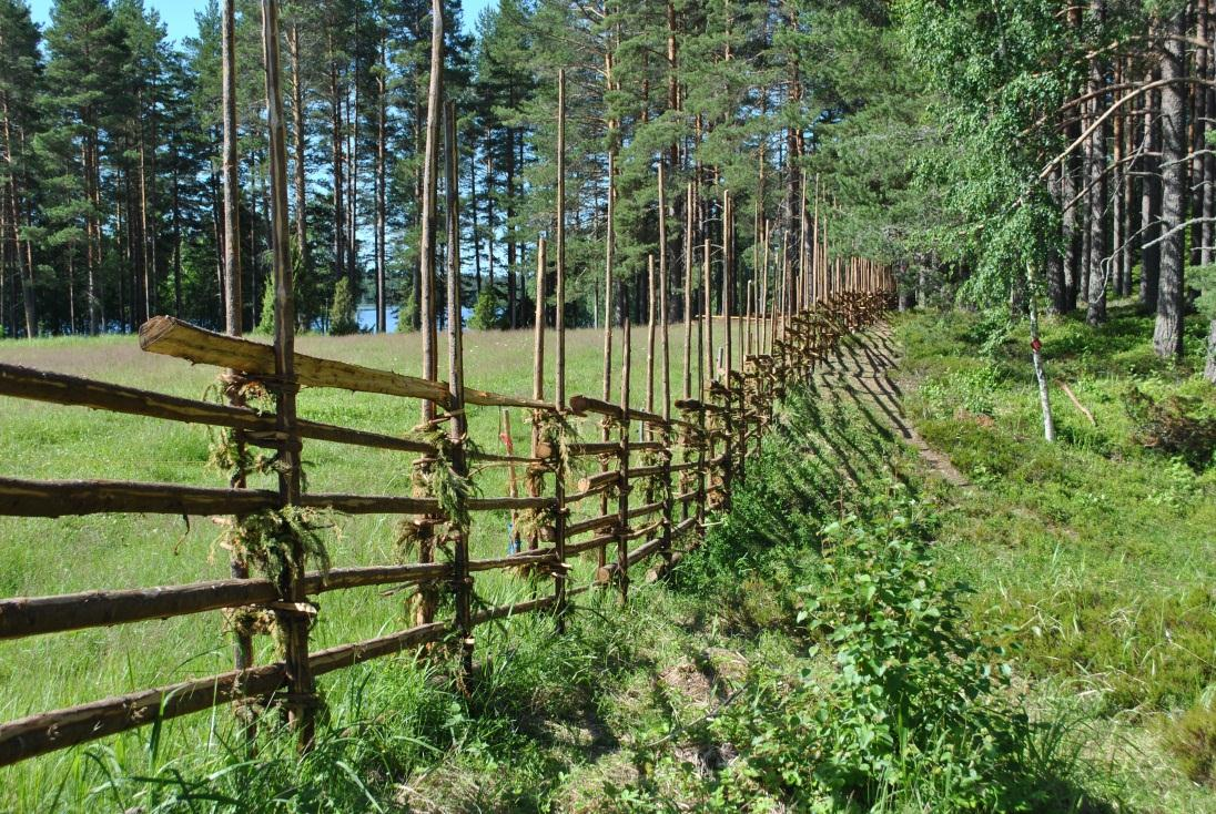 Oppiminen ja ongelmanratkaisu Vuorovaikutus ja