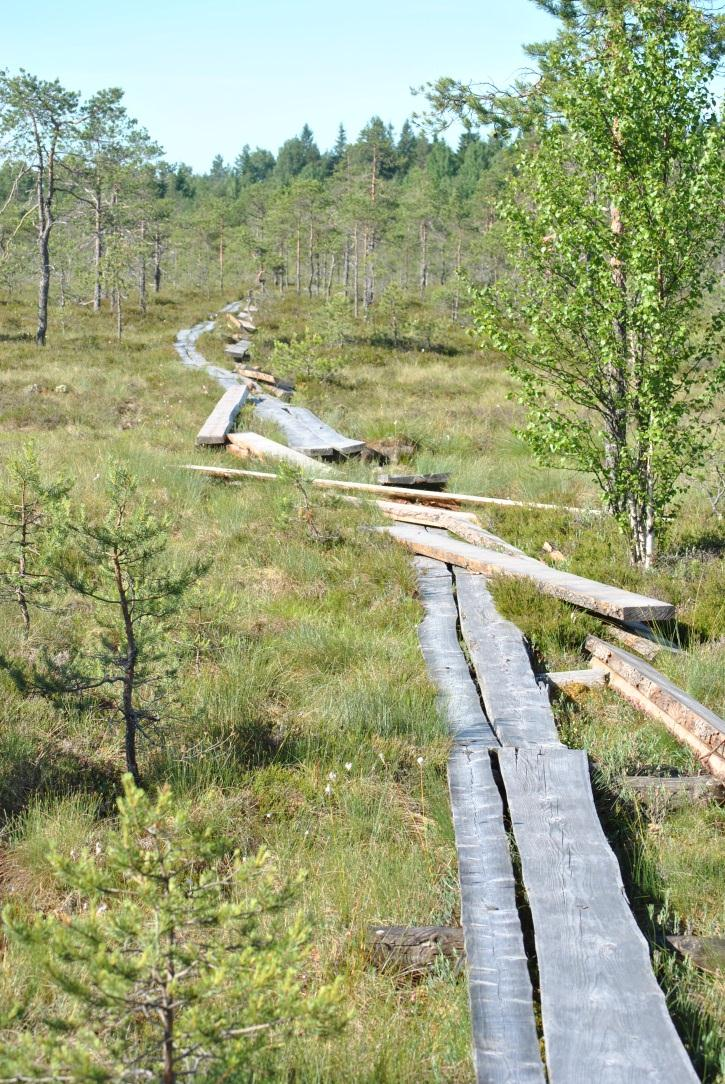 Käsitteellä työssä oppiminen (erikseen kirjoitettuna) kuvataan jo työelämässä olevan henkilön työtä