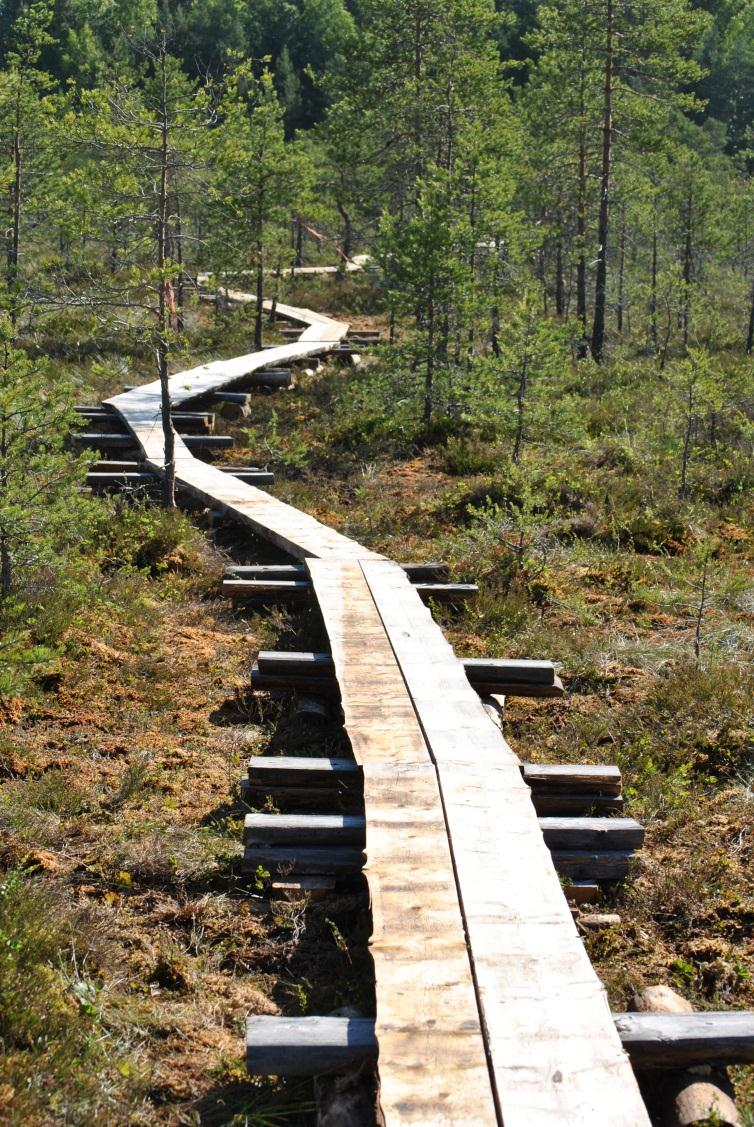 Työssäoppiminen (yhteen kirjoitettuna) käsite liittyy ammatillisen koulutuksen työssäoppimisjaksoon.