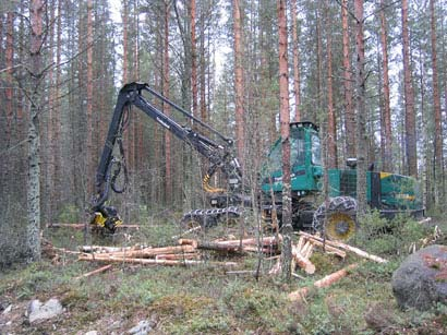 Tavoitteet Selvittää metsien tarjoamia mahdollisuuksia syrjäisten maaseutualueiden elinkeinotoiminnan kehittämiselle ja elinvoimaisuuden parantamiselle Kehittää vuorovaikutteisia