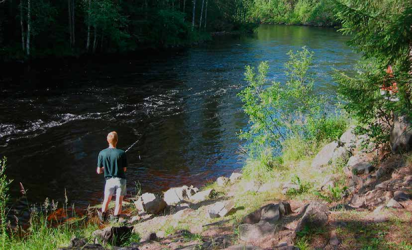 katiskat ja kesäverkot. Katiskapyynti oli Jänisjoen alueella suositumpaa kuin Loitimolla. Kalastus keskittyi selvästi kesäkuukausiin.