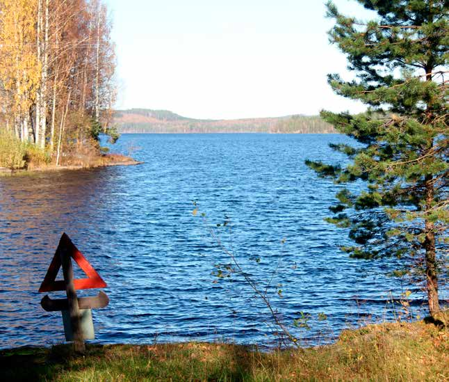 vesistön tilaan liittyvän osion. Teppo Linjama kirjoitti pääosin luvut 1, 4 ja 6. Paula Mononen kommentoi ja täydensi raporttia.