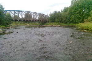 S6 Siikajoki, Vorna, vähävetinen uoma ETRS-TM35FIN: 7135301-449608 Sanallinen kuvaus (22.7.2014) Pinta-ala 201 m 2 Vesisyvyys 30 cm Pintavirrannopeus 50 cm/s Veden lämpötila 24,2 C Vesikasv.