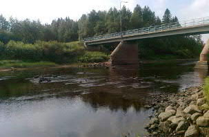 S8 Siikajoki, Nivankoski ETRS-TM35FIN: 7156213-433404 Sanallinen kuvaus (23.7.2014) Pinta-ala 248 m 2 Vesisyvyys 40 cm Pintavirrannopeus 50 cm/s Veden lämpötila 22,7 C Vesikasv.