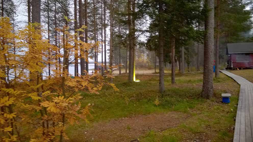 Porotreffit 2016 SFC-Länsi-Pohjan järjestämät järjestyksessä 25. Porotreffit pidettiin Mellajärvellä 26. - 28. elokuuta 2016.