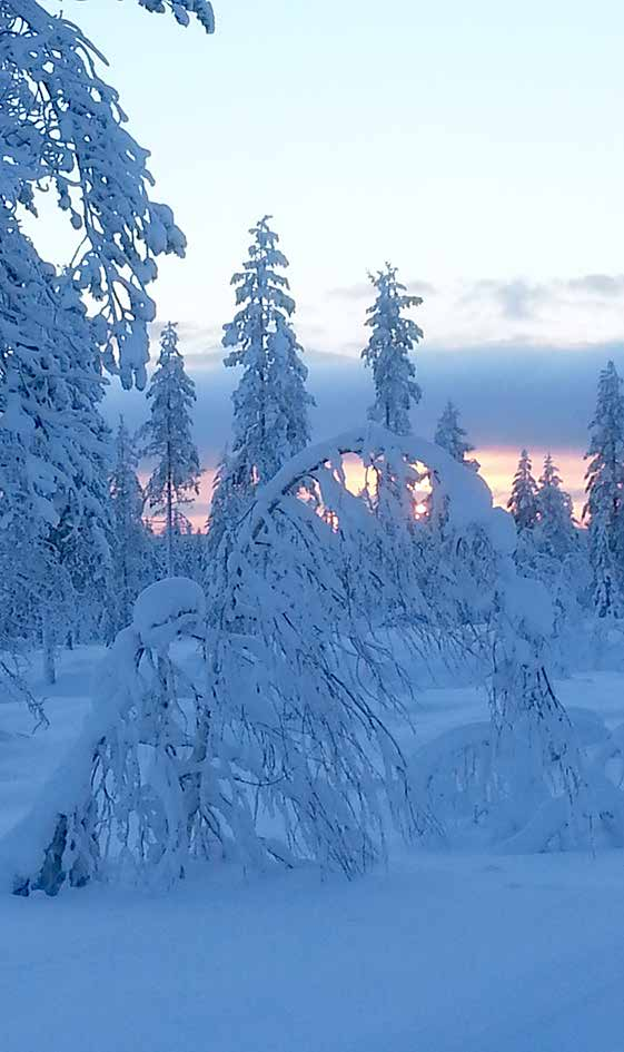 KOKOUSKUTSU SF-CARAVAN OUNAS-LAPPI RY KEVÄTKOKOUS 5.3.2017 klo 18.00 Soikkelin talo/inkerin Pitopalvelu JOHTOKUNTA 2017 Jukka Salmi (Kittilä), puheenjohtaja 040 740 6518 jukka.salmi@pp3.inet.