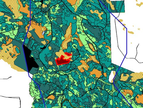 Havaitut virheet Kuviotiedoissa on virheelliseksi luokiteltu n. 23 ha ala kuuluvaksi infrastruktuurin peittoalueeseen, virhe näkyy kuvissa 2.-7. Lisäksi taulukoissa 3. ja 4.