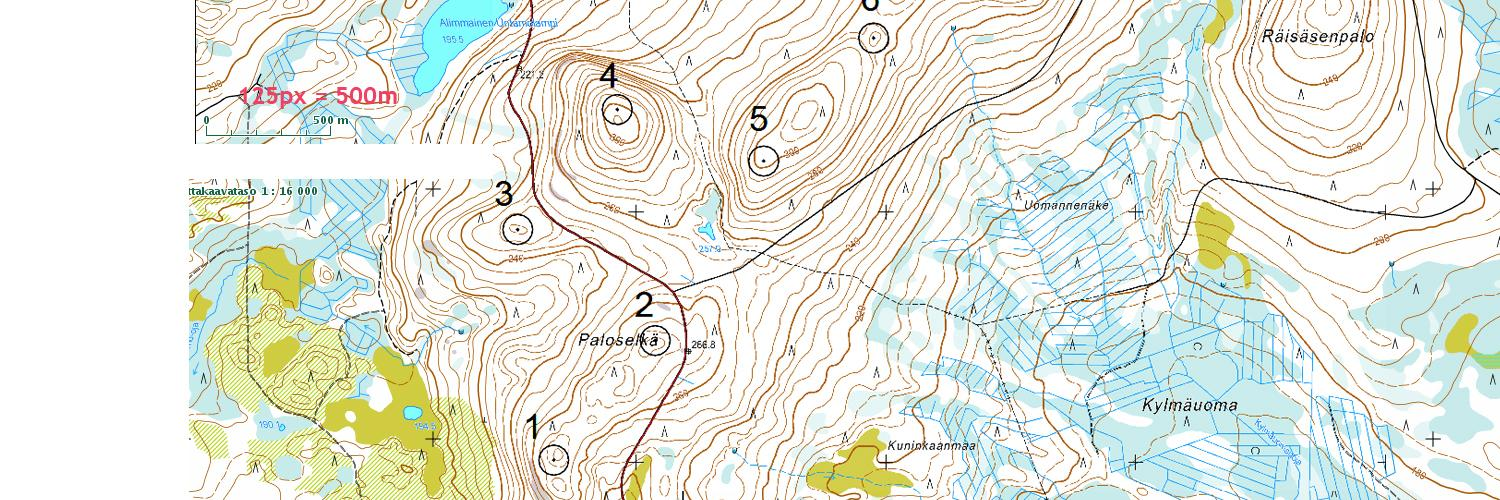 Kuva 38. Mäntyselältä Untamovaaralle.