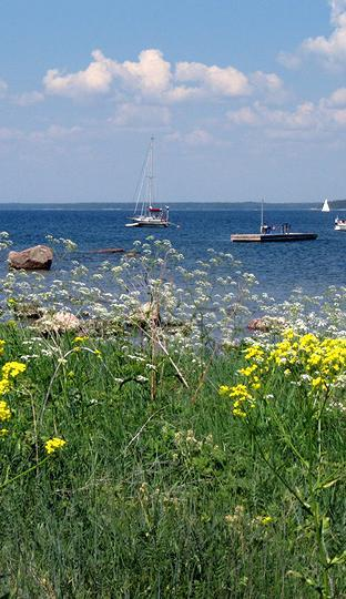 Viherrakenne Sisältö ja rajaus: Viherrakenne kokonaisuutena Luonnon monimuotoisuus Ekologinen verkosto Virkistysverkosto Luonnonvarat osin, mm.