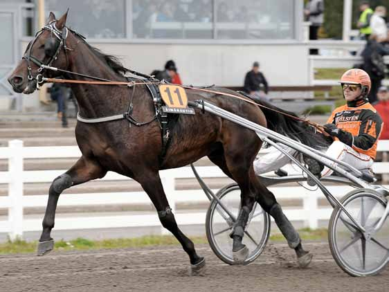 Toto76-ravit TURKU lauantaina 26.11. klo 14.