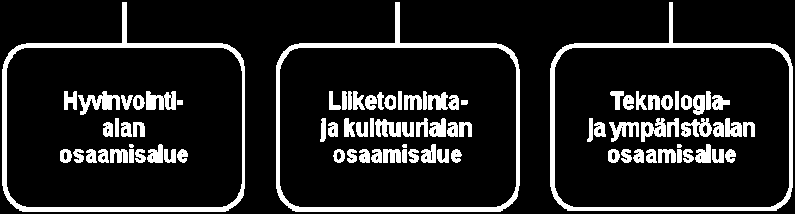 Valmisteluja savuttoman ammattikorkeakoulun käynnistämiseksi 1.8.2009 jatketaan. Kestävän kehityksen periaatteiden mukaisesti tavoitteena on siirtyä kohti paperitonta organisaatiota.