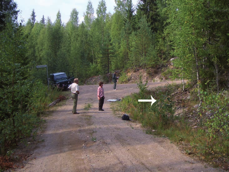 Kuva 15. Mäntyharjun Kaljunkosken asuinpaikka. Inventoinnissa talteen saadut kvartsi-iskokset löytyivät tieleikkauksesta nuolen kohdalta. Valokuva: Antti Lahelma. 2.