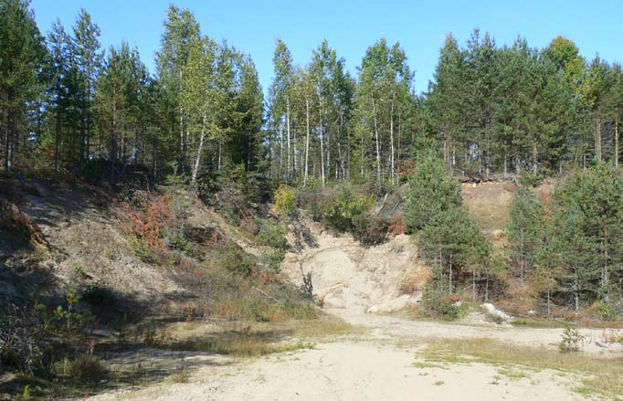 Kohde 9917418 on ilmeisesti Säyneisen vanhan kaatopaikan aluetta. Alueella on valtavasti romua.