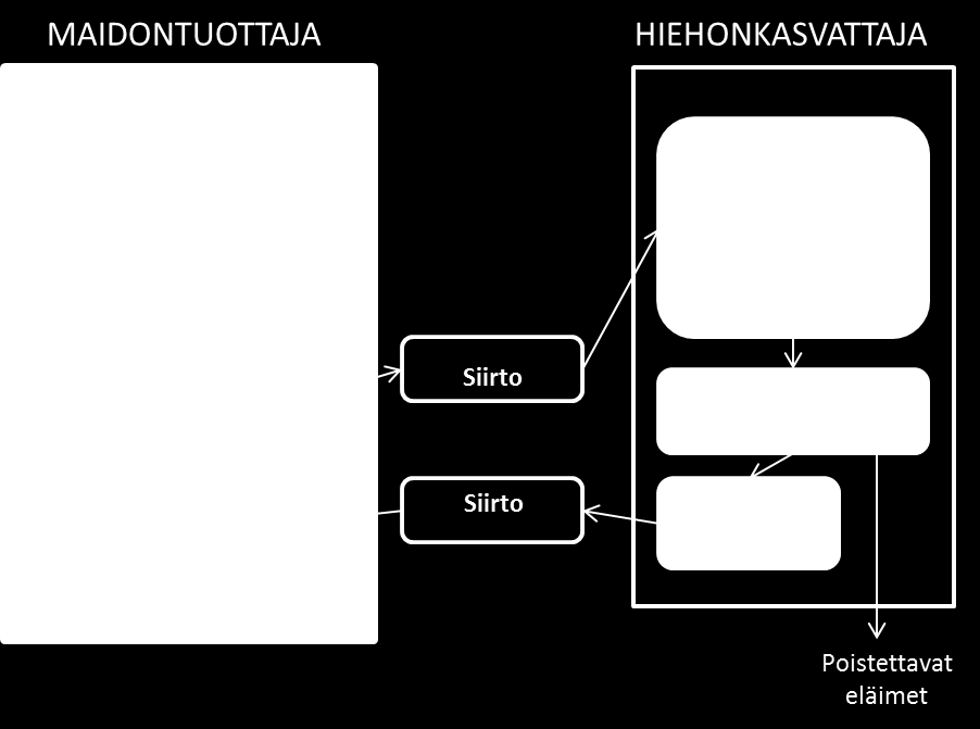 115 että hän kasvattaa hiehojen ohessa saman tilan vasikoita myös lihakarjaksi, jolloin tautiriskin rajaaminen helpottuu.