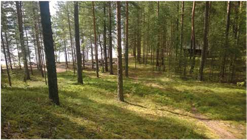SAIMAAN RETKISATAMAVERKOSTO MUUTOKSEN KOHTEENA Saimaan alueella retkisatamaverkostoa omistavat ja ylläpitävät monet eri tahot.