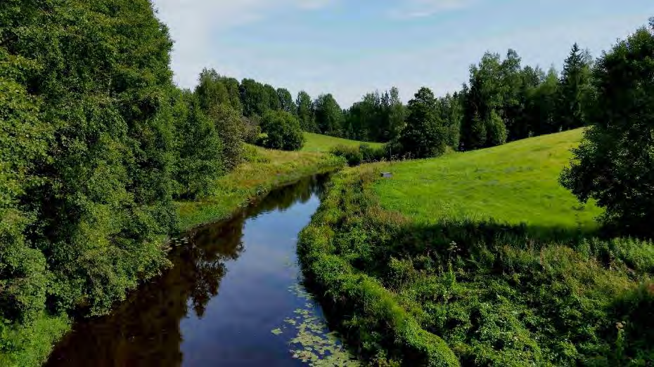 rannoilla on varttuneempaa puustoa. Vantaanjoen ja Kylmänojan välisen pellon pohjoispuolella on varttuvaa lehtomaisen kankaan kuusikkoa.