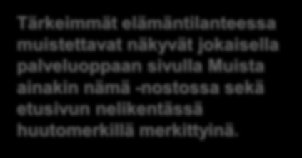 Yksittäisen palveluoppaan etusivu Yksittäisen palveluoppaan etusivulla näkyy ainoastaan kyseisen palveluoppaan navigaatio.
