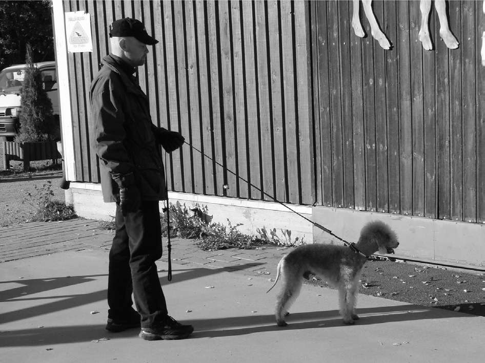 Suhtautumista vieraisiin mitataan mm. siinä kun koira jätetään tuomarille tai apuhenkilölle odottamaan siksi aikaa kun omistaja piiloutuu pimeään huoneeseen.