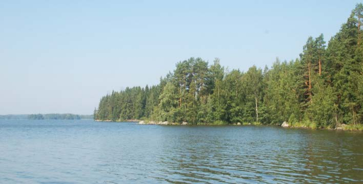 Maisemakohteet 1. Luodonniemen kärki 2,1 ha Luoto Kuva 73 Luodonniemi (kuva: Ilona Ogbeide) Maisemallisesti kaunis niemi. Kivikkoiset rannat. Harvennettu vanha männikkö.