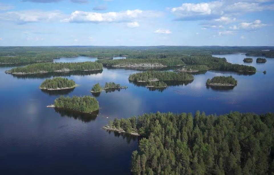 Puulan ja Kyyveden Natura-aluekokonaisuuden hoito- ja