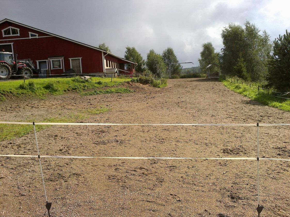 42 (74) loittelu tapahtuu niin, että kerrallaan tarhassa on 15-20 eläintä ja lypsylehmät jaloittelevat kolmessa erässä. Hiehot jaloittelevat pienissä ryhmissä.