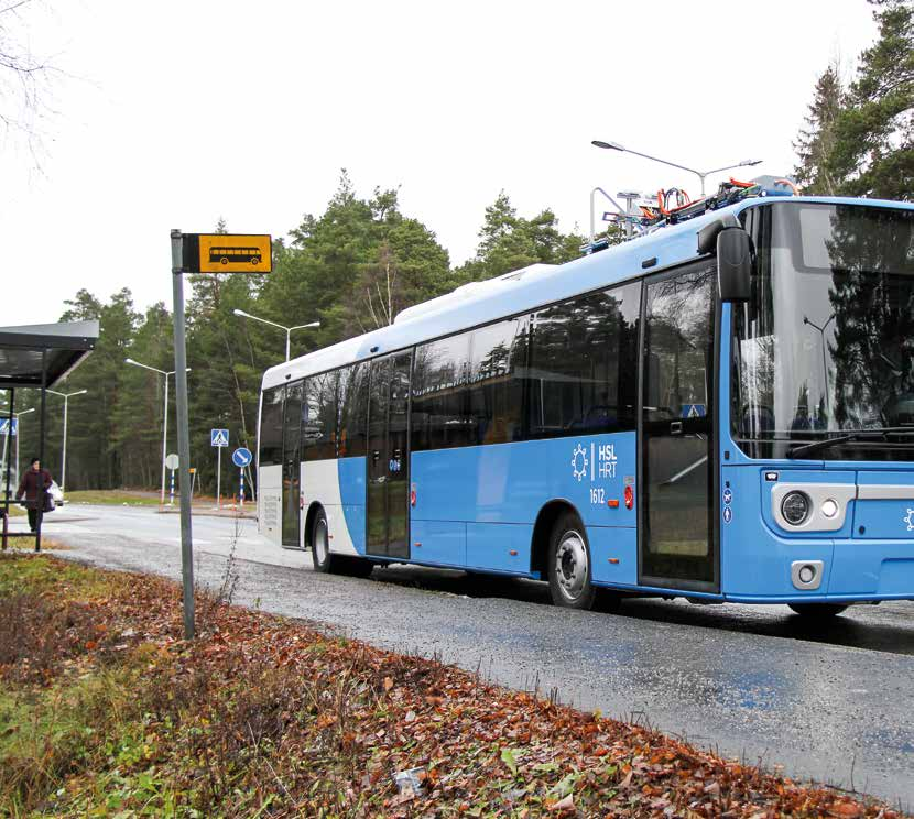 TEKSTI JA KUVAT TIMO LEHTONEN Kiskaava somalainen Linkker 13 plinkker 13 on lkonäöltään hyvin asiallisen näköinen.