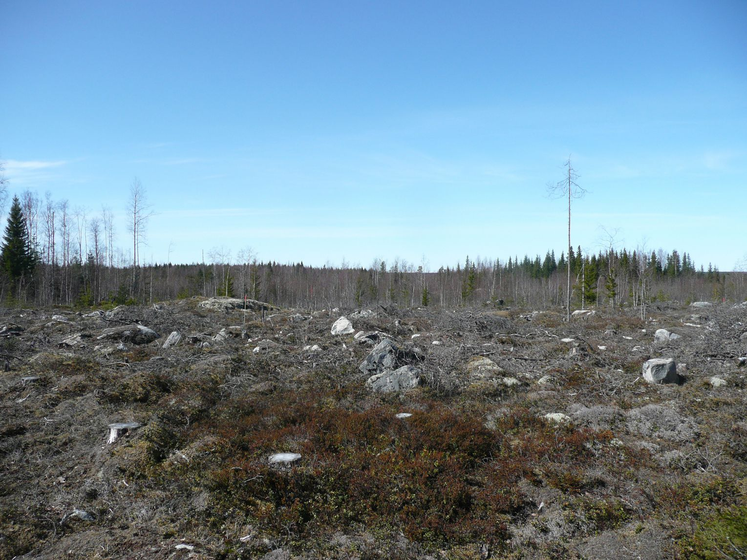 RAAHE 2010 Voimansiirtojohtoreitin arkeologinen inventointi Raahen