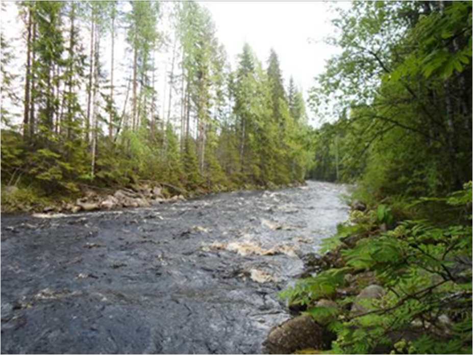 Maankäytönsuunnittelu SONKAJÄRVI Venäkin ja Kankareen ranta-asemakaava Geomorfologisesti ehkä kaikkein kiintoisin alue on Matkusjoessa esiintyvä kynnäs suunnittelualueen eteläosassa.