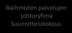TampereSenior-ohjelman ohjausjärjestelmä kaupunkistrategia hyvinvointisuunnitelma ikäihmisten palveluiden vuosisuunnitelma Ikäihmisten palvelujen lautakunta Tulevaisuustyöryhmä Ikäihmisten palvelujen