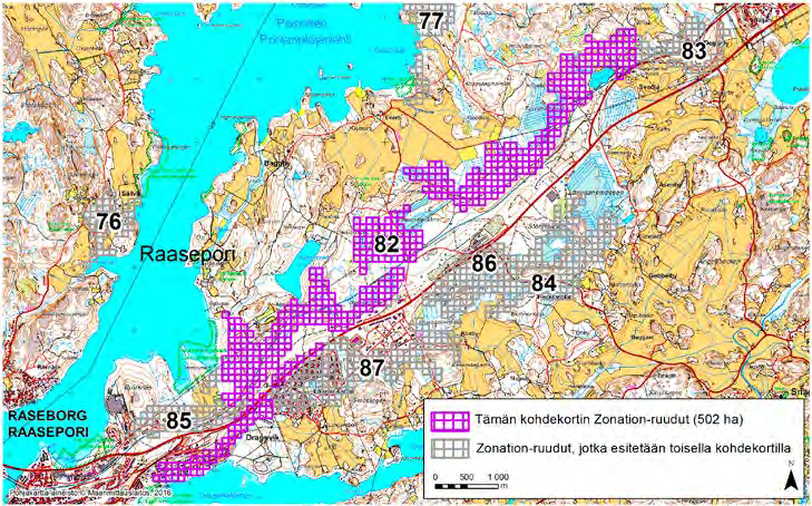Raasepori, Zonation-aluetunnus 82 RAASEPORI (82) Alue on laaja, metsäinen jakso ensimmäisen Salpausselän alueella, Tammisaaren keskustasta koilliseen päin suunnilleen Dragsvikin ja Svedjan kylien