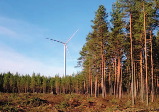 Kaavoitus vähentää rajusti hakkuita Kaavoituksella ohjataan maankäytön suunnittelua ja rakentamista. Metsät ovat perinteisesti kaavojen ns.